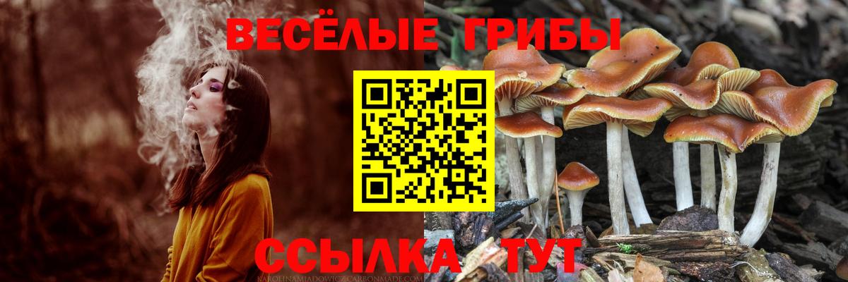 Галлюциногенные грибы Psilocybe  Вход с VPN  Псилоцибиновые грибы мухоморы  Азов 
